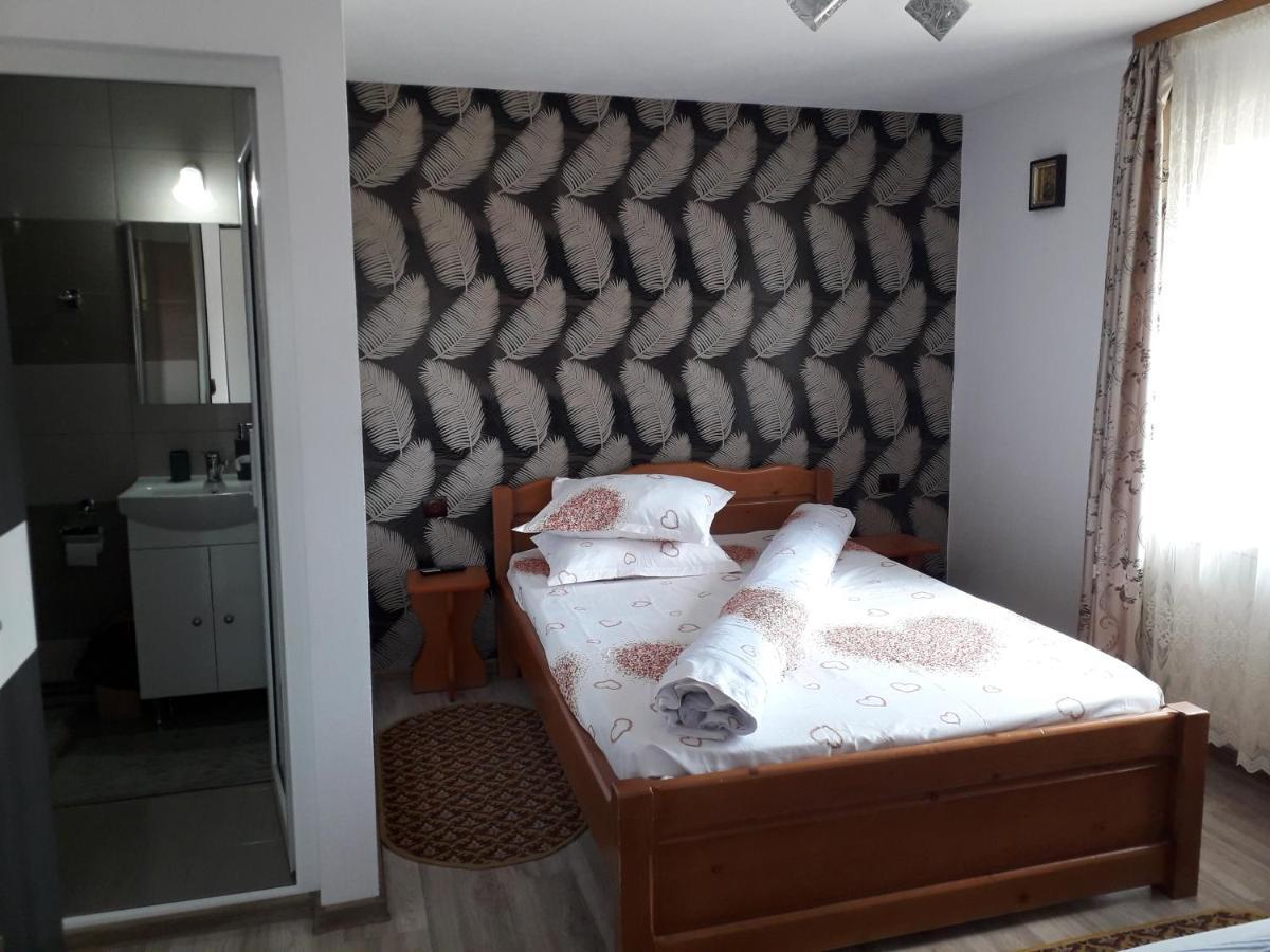 Pensiunea Ileana Novaci-Străini Exteriér fotografie