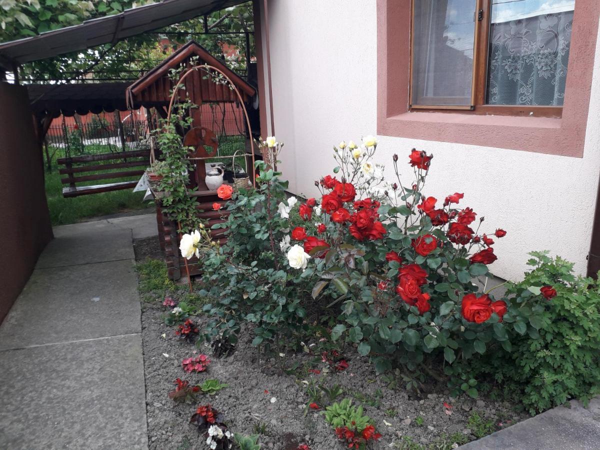 Pensiunea Ileana Novaci-Străini Exteriér fotografie