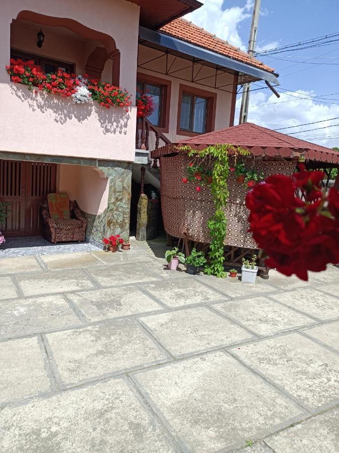 Pensiunea Ileana Novaci-Străini Exteriér fotografie