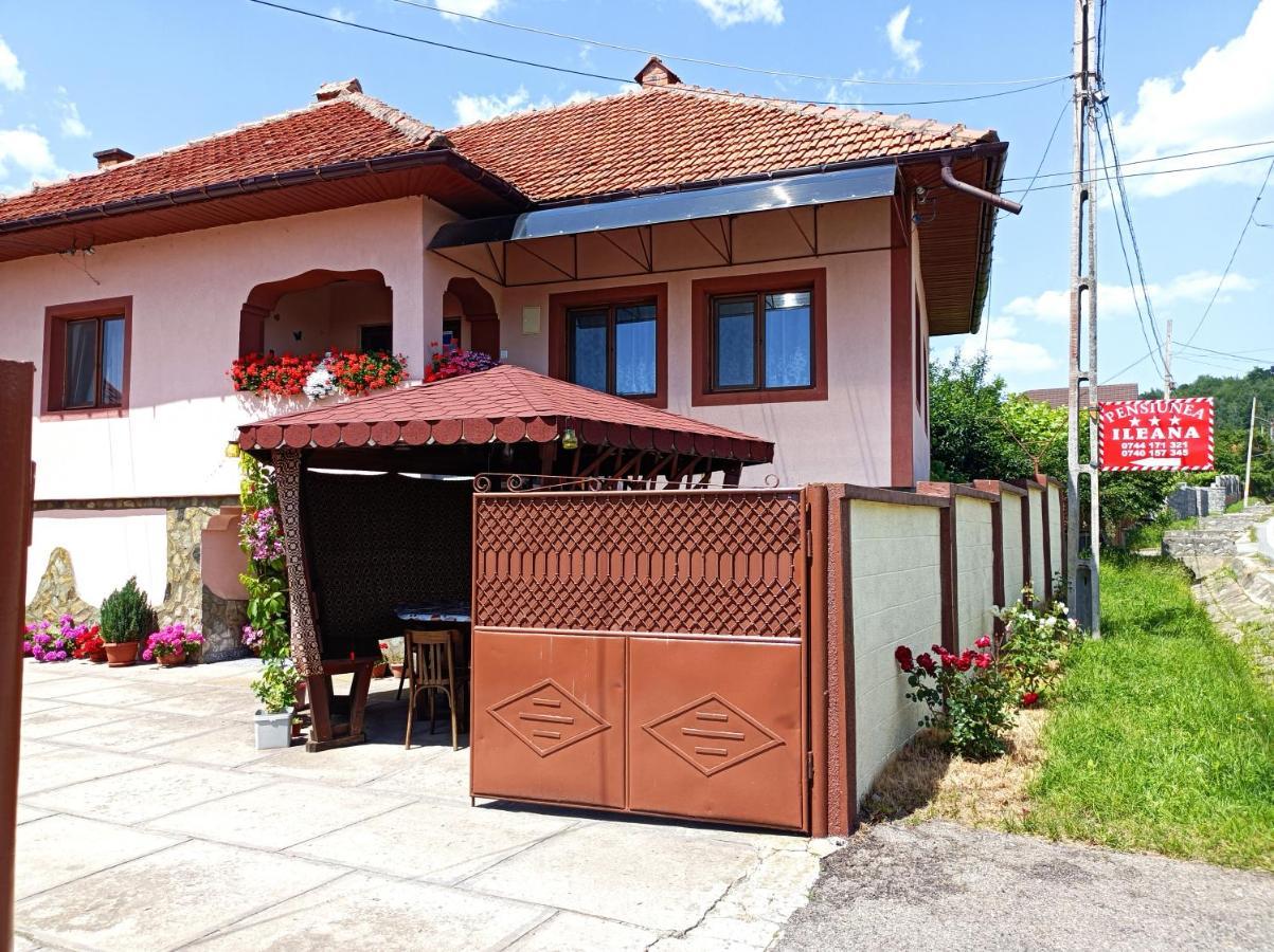 Pensiunea Ileana Novaci-Străini Exteriér fotografie
