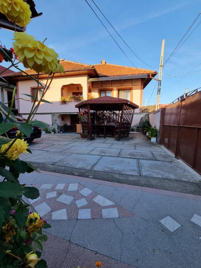 Pensiunea Ileana Novaci-Străini Exteriér fotografie