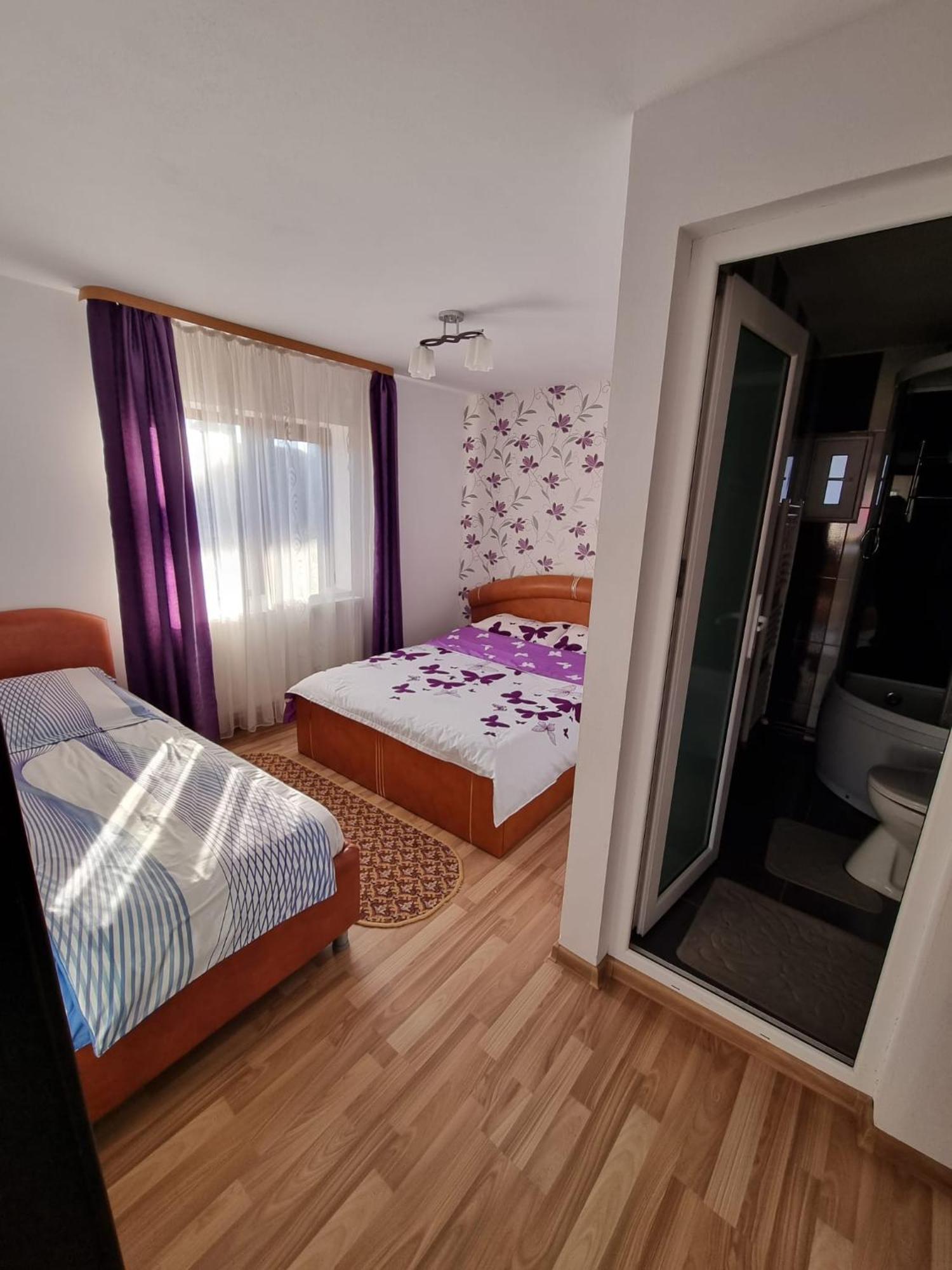 Pensiunea Ileana Novaci-Străini Exteriér fotografie