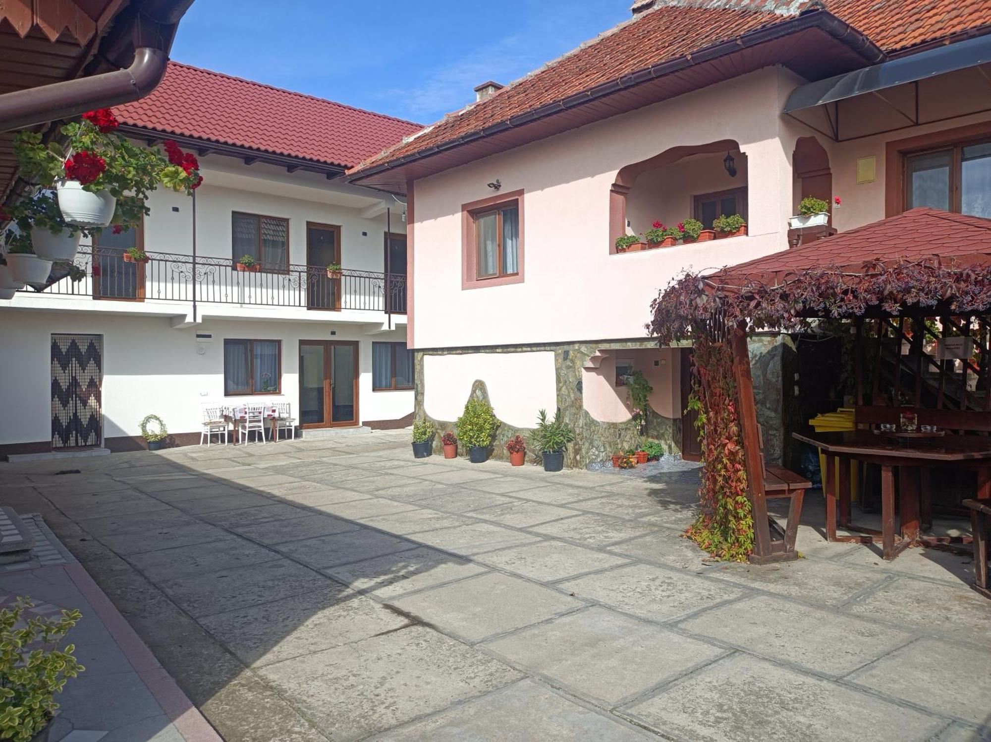 Pensiunea Ileana Novaci-Străini Exteriér fotografie