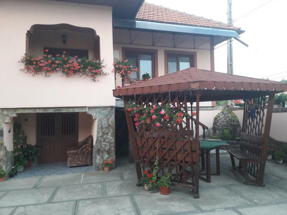Pensiunea Ileana Novaci-Străini Exteriér fotografie