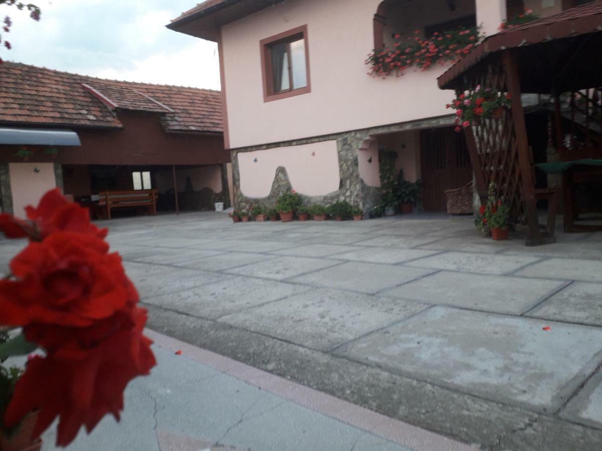 Pensiunea Ileana Novaci-Străini Exteriér fotografie