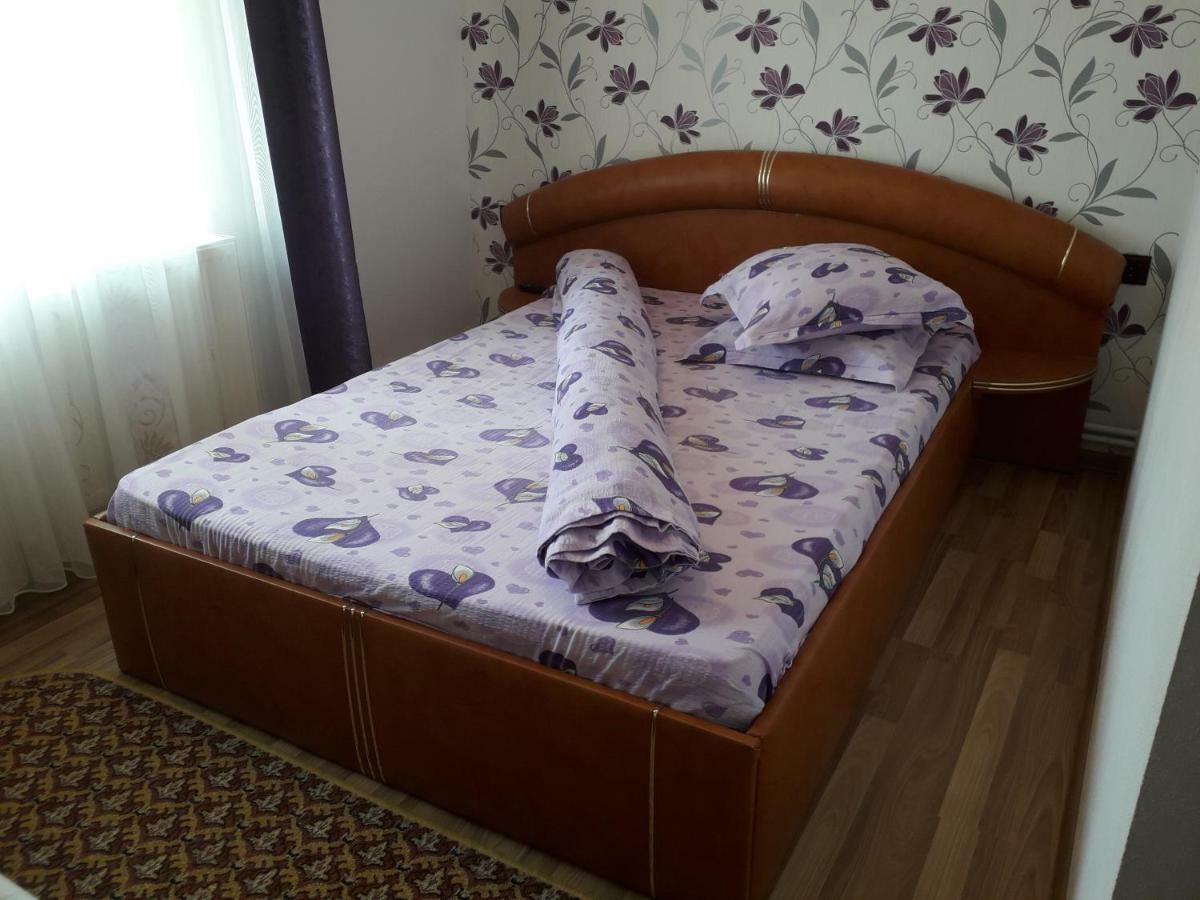 Pensiunea Ileana Novaci-Străini Exteriér fotografie