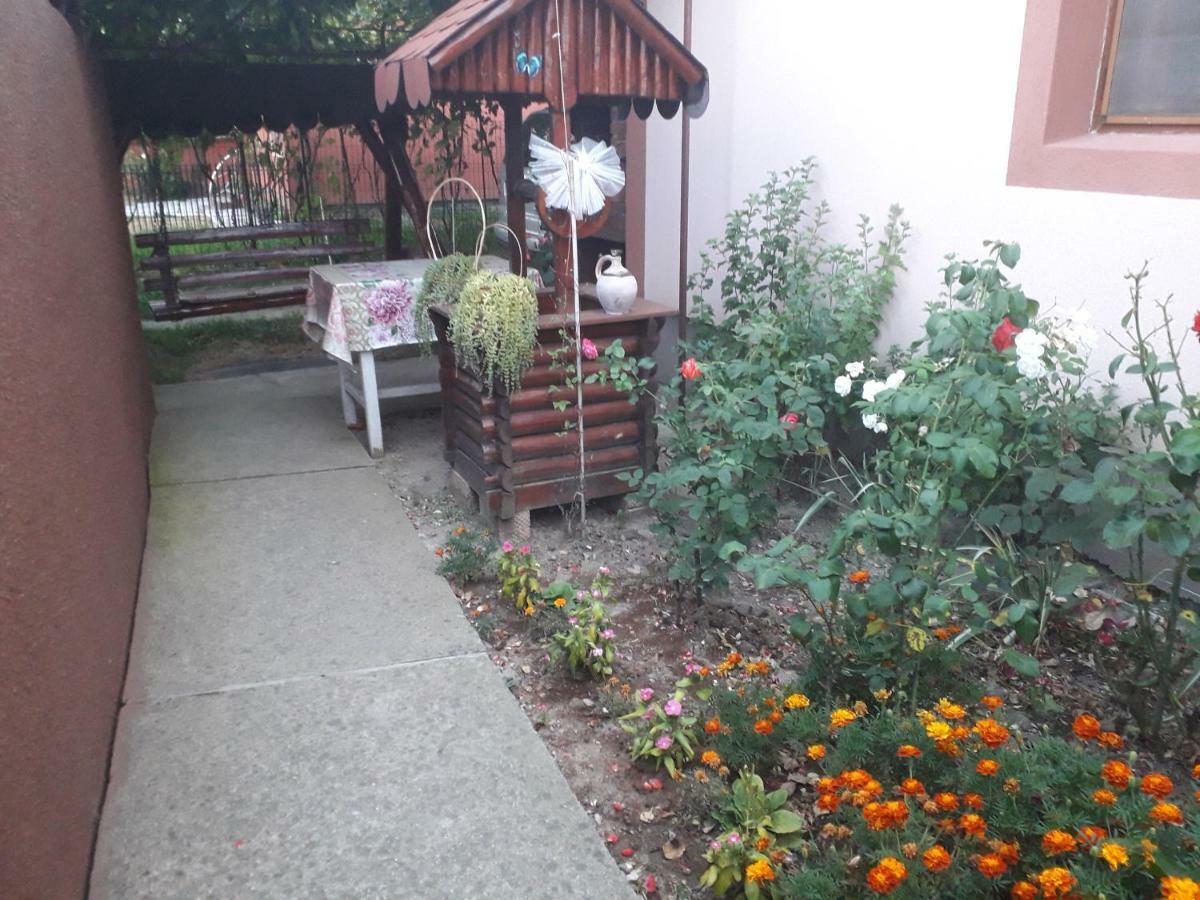 Pensiunea Ileana Novaci-Străini Exteriér fotografie